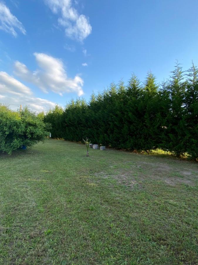 Au Paradis D’alsace 55 M2 Nature&relax * Ingwiller