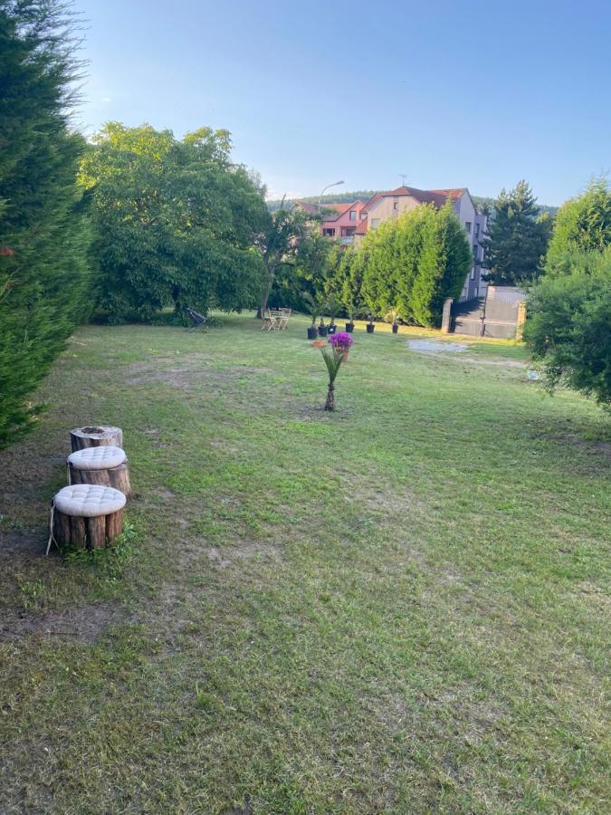 Au Paradis D’alsace 55 M2 Nature&relax *
