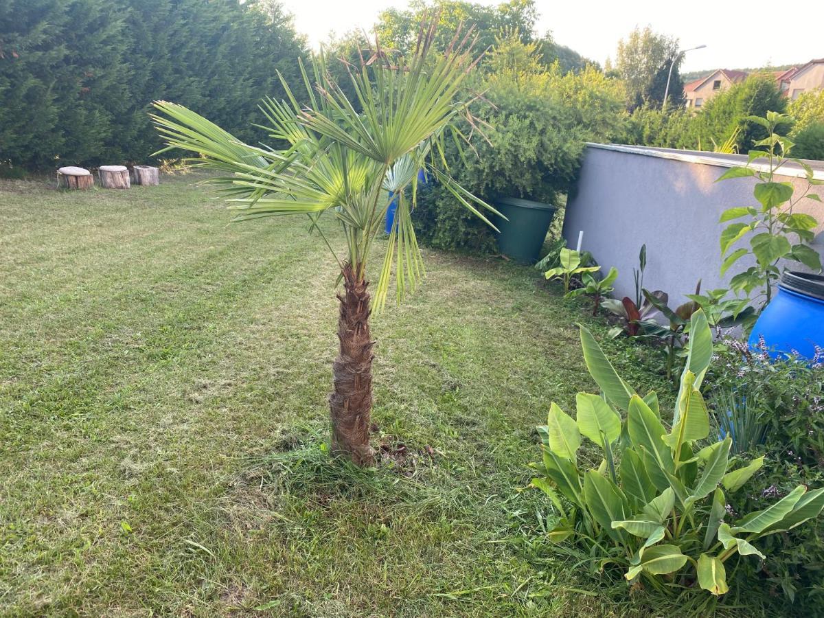 Appartement Au Paradis D’alsace 55 M2 Nature&relax *