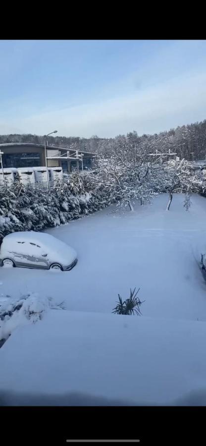 Au Paradis D’alsace 55 M2 Nature&relax *