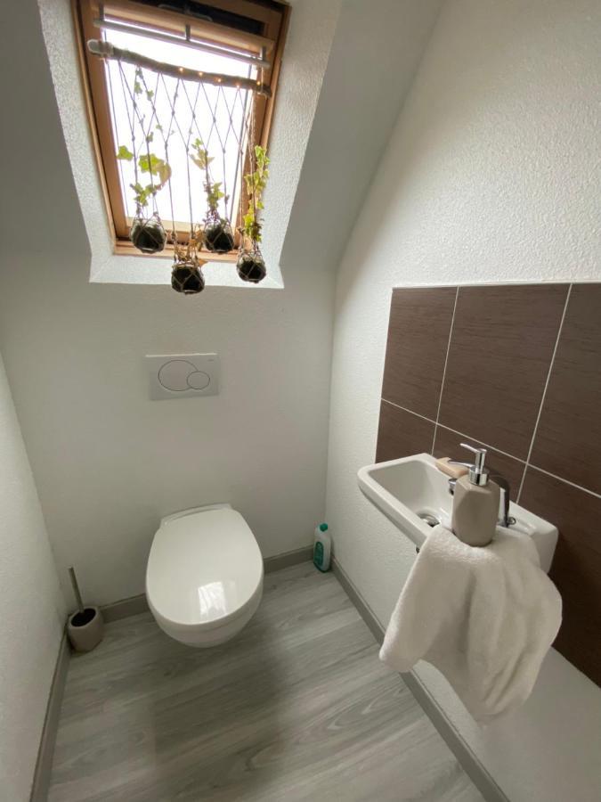 Au Paradis D’alsace 55 M2 Nature&relax * Ingwiller