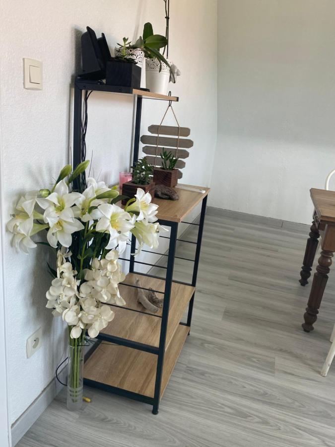 Appartement Au Paradis D’alsace 55 M2 Nature&relax *
